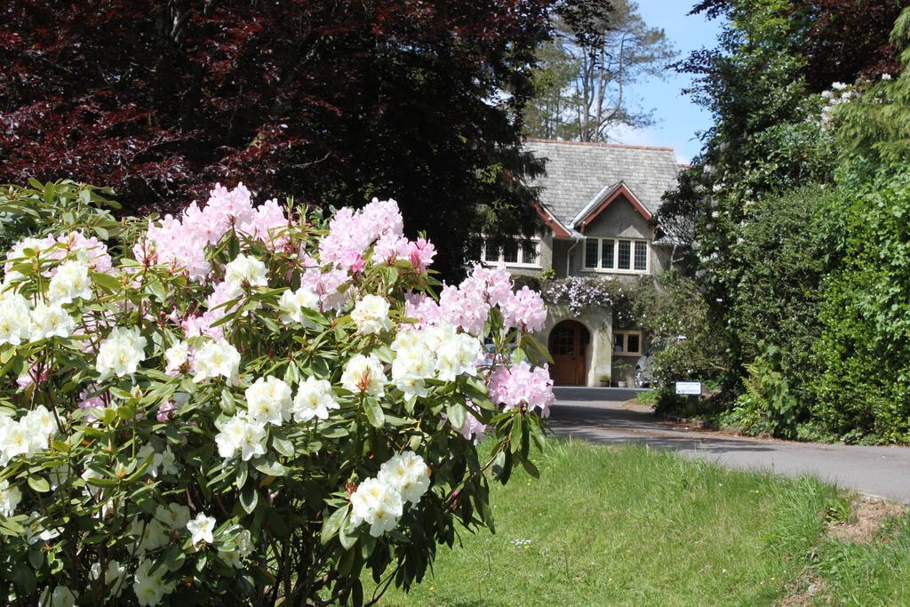 Knapp House Lodges East Anstey Екстериор снимка